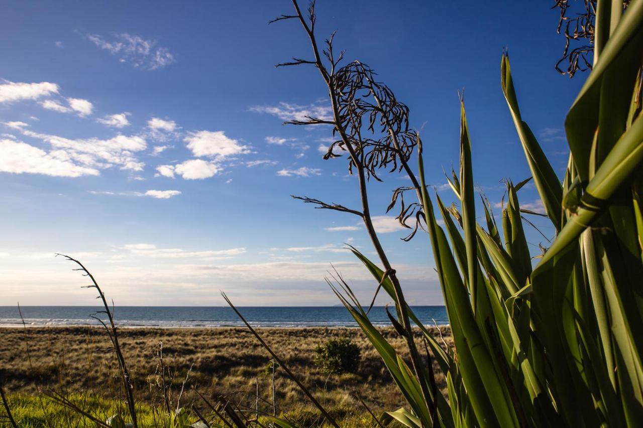 Ohiwa Beach Apartments/ Motel Opotiki Luaran gambar